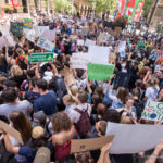 The sheer crowds of children at the climate protest that my son was delighted to discover.