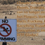 Climate Chaos is now unavoidable, but NSW corruption, unnecessary!